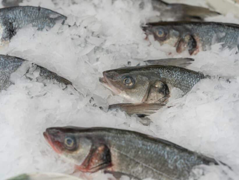 Close-up of fresh fish displayed on ice in a market setting, highlighting freshness and quality.