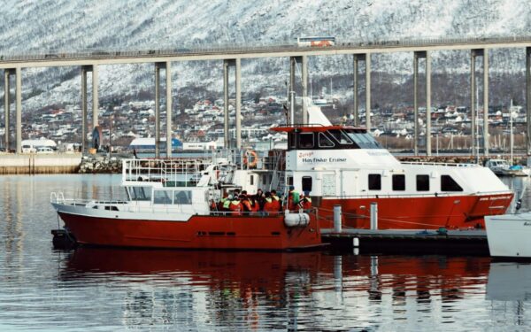 Den norske regjeringen presser EUs fiskerikommissær for å få en helhetlig makrellavtale