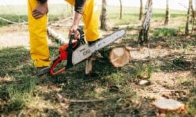 Lumberjack in yellow gear using a chainsaw to cut a tree log in a sunny forest setting.