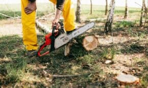 Lumberjack in yellow gear using a chainsaw to cut a tree log in a sunny forest setting.