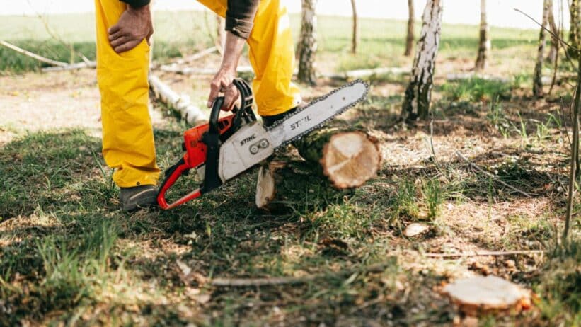 Lumberjack in yellow gear using a chainsaw to cut a tree log in a sunny forest setting.