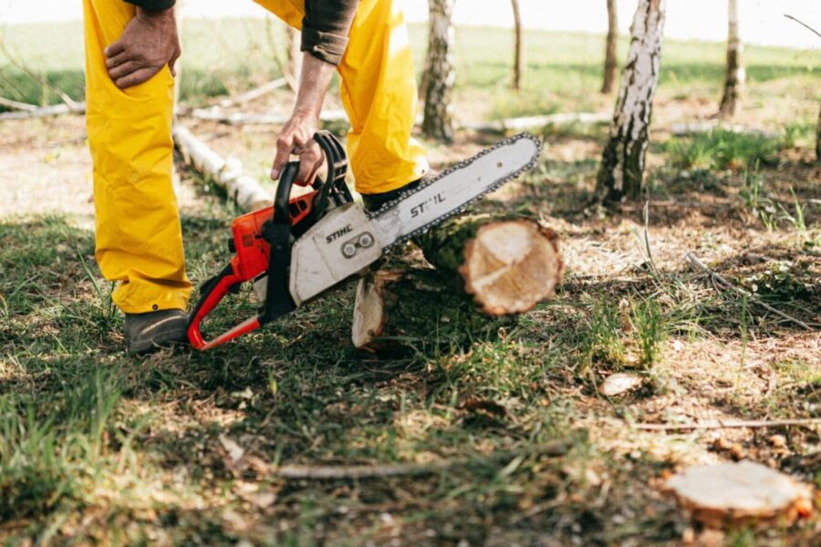 Lumberjack in yellow gear using a chainsaw to cut a tree log in a sunny forest setting.