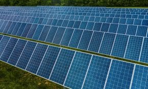 A vibrant solar farm showcasing rows of photovoltaic panels capturing energy.