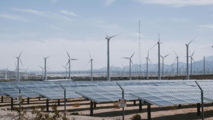 Skyggesiden av grønn energi: Slik blokkerer flytende sollys for økosystemet