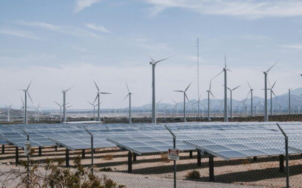 Skyggesiden av grønn energi: Slik blokkerer flytende sollys for økosystemet