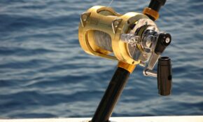 deep sea fishing, penn reel, ocean, fishing, blue fish, nature, blue fishing