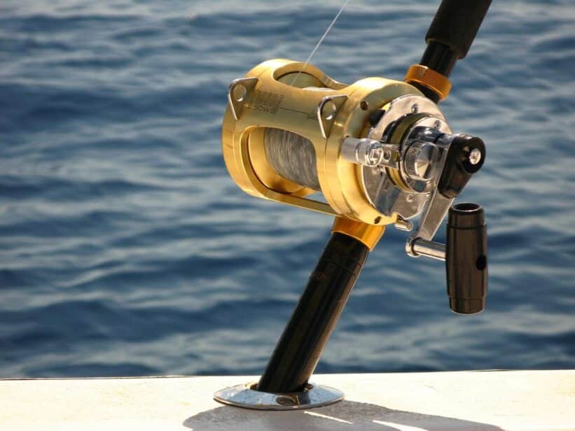 deep sea fishing, penn reel, ocean, fishing, blue fish, nature, blue fishing