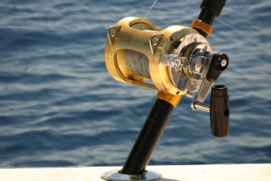 deep sea fishing, penn reel, ocean, fishing, blue fish, nature, blue fishing
