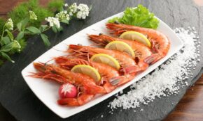 shrimp, seafood, nature, ocean