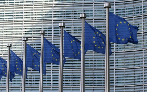 Nye EØS-regler for trygg mat og kjemikalier innlemmes i avtalen i Brussel