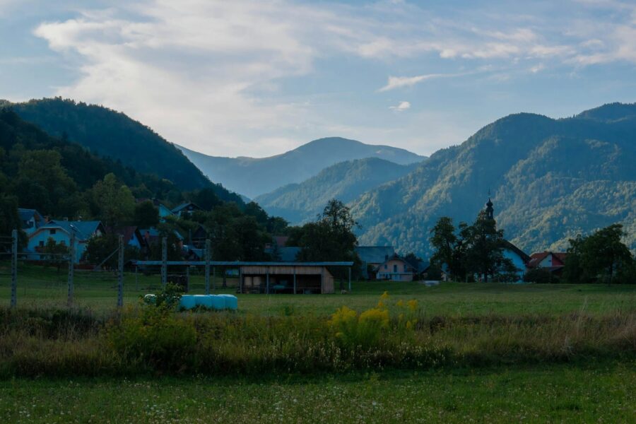 a grassy field with a fence and buildings in the background