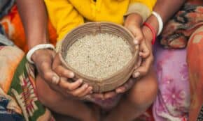 Hands holding a bowl of rice.