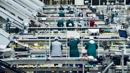 Regjeringen lanserer nytt kompetansebudsjett for å sikre norsk matproduksjon