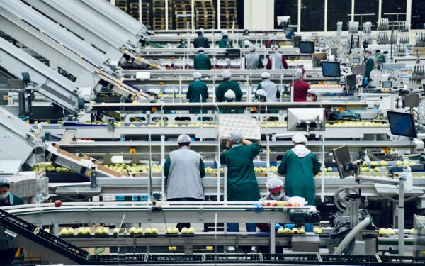 Regjeringen lanserer nytt kompetansebudsjett for å sikre norsk matproduksjon