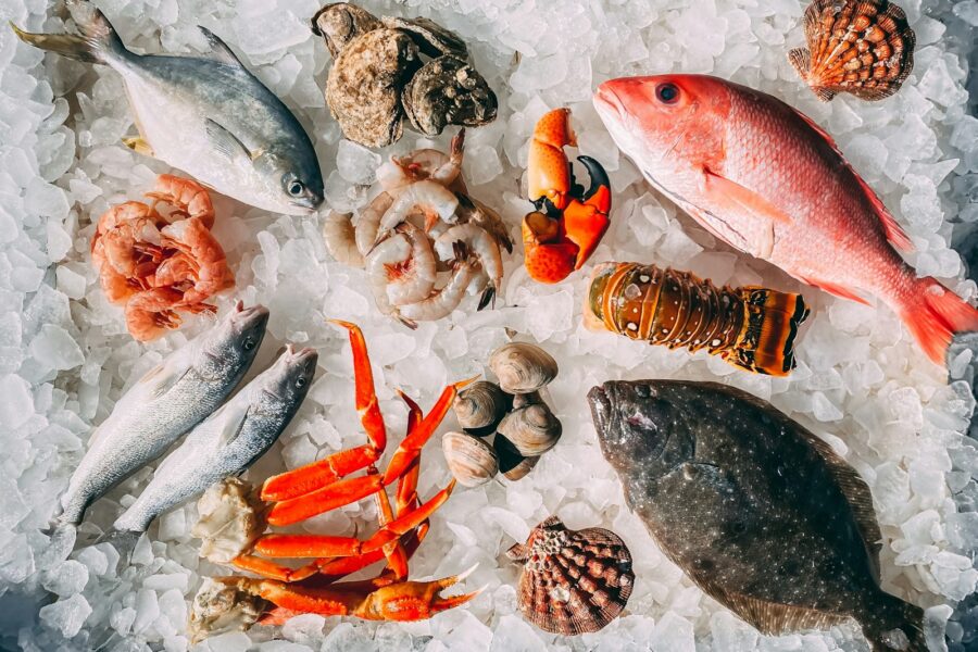 orange and white fish on white and black pebbles