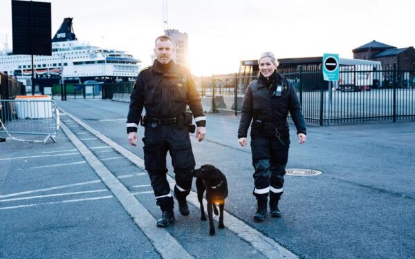 Suksesserien „TOLL“ er tilbake på TV 2 – nådde én million seere i snitt