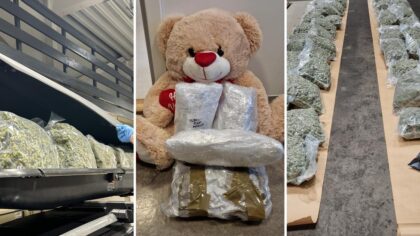 Marihuanabeslagene øker kraftig – kurerer fra Thailand og Canada