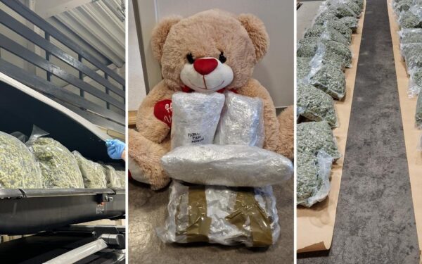 Marihuanabeslagene øker kraftig – kurerer fra Thailand og Canada