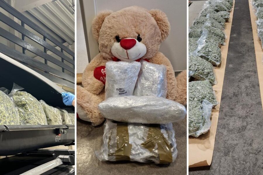 Marihuanabeslagene øker kraftig – kurerer fra Thailand og Canada