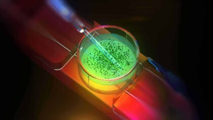 Forskere skaper materietilstanden excitonium som kan revolusjonere fremtidens strømnett