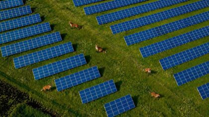 Teknologi og natur i unik sameksistens: Solparker blir nye naturreservat