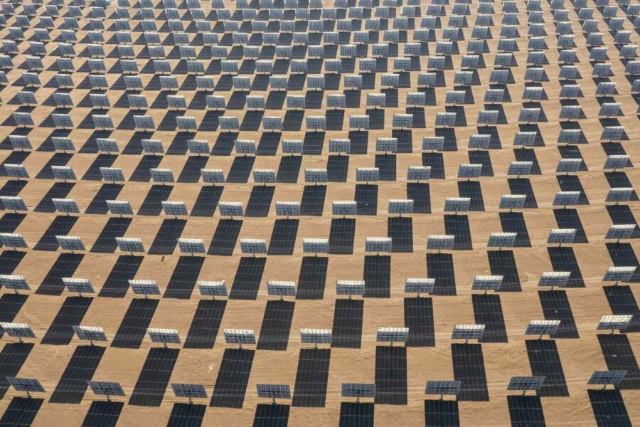 Skånsom bygging av stor amerikansk solpark førte til kraftig spredning av sjelden plante