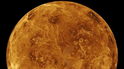 Ny amerikansk forskning antyder at eventuelt liv i atmosfæren på Venus kan stamme fra Jorden