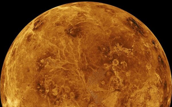 Ny amerikansk forskning antyder at eventuelt liv i atmosfæren på Venus kan stamme fra Jorden