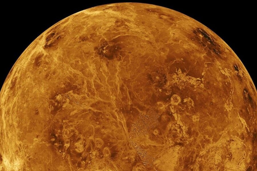 Ny amerikansk forskning antyder at eventuelt liv i atmosfæren på Venus kan stamme fra Jorden