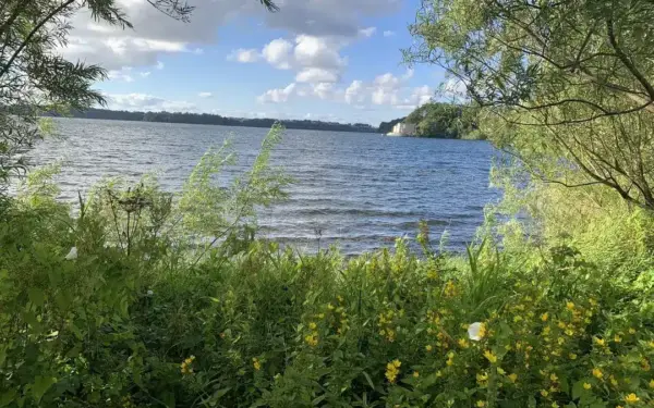 Regjeringen prioriterer bynær natur gjennom varig vern av 829 dekar i Stavanger