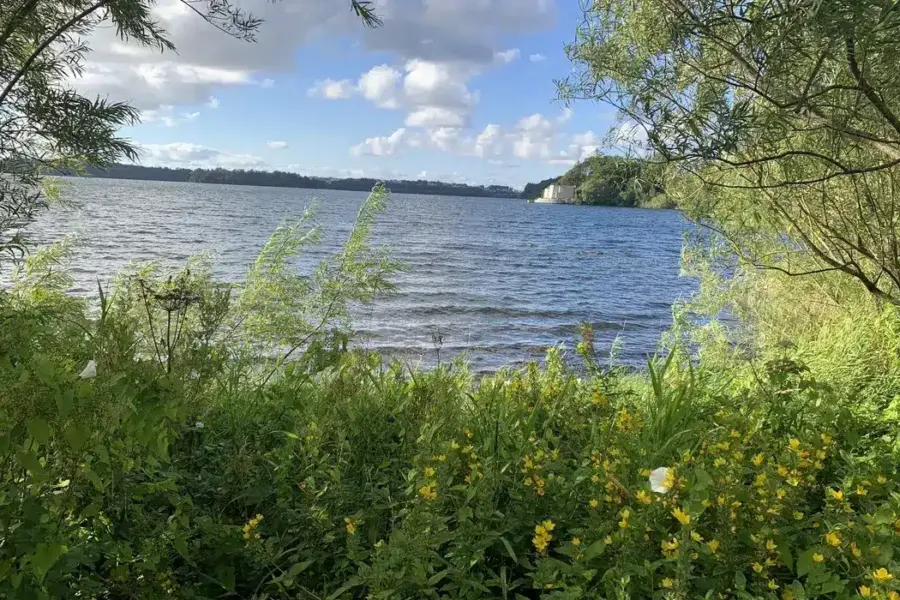 Regjeringen prioriterer bynær natur gjennom varig vern av 829 dekar i Stavanger