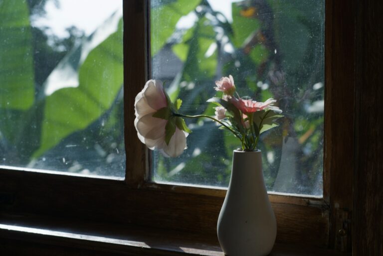 Indoor still life