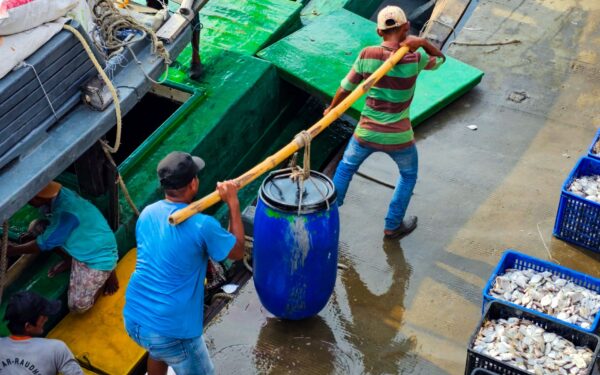 Lokal sjømat rett fra havna: slik fungerer dagens fiskemottak og direktesalg