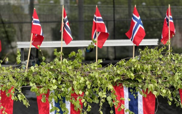 Politikk for nybegynnere: slik forstår du hvordan Norge styres
