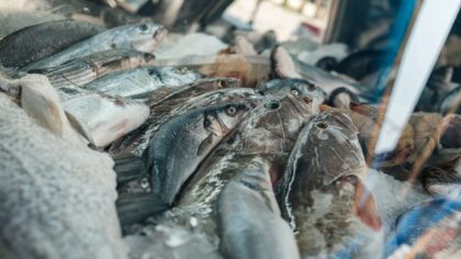 Slik kan du kjøpe god fisk direkte fra kysten uten å bo ved sjøen