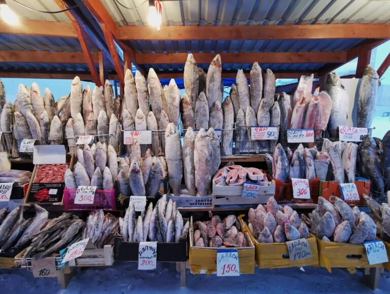 Frozen fish freezer