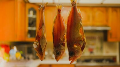 Slik lagrer du sjømat hjemme: en enkel guide til trygg og god fisk