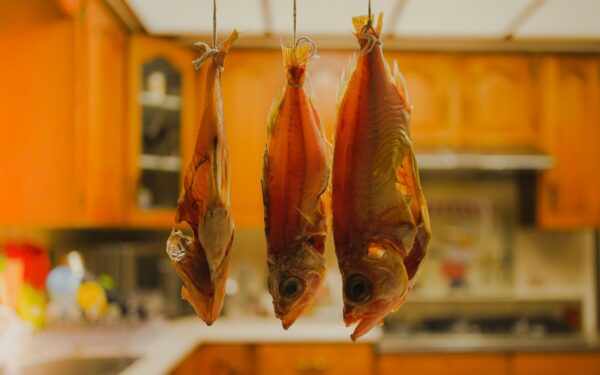 Slik lagrer du sjømat hjemme: en enkel guide til trygg og god fisk