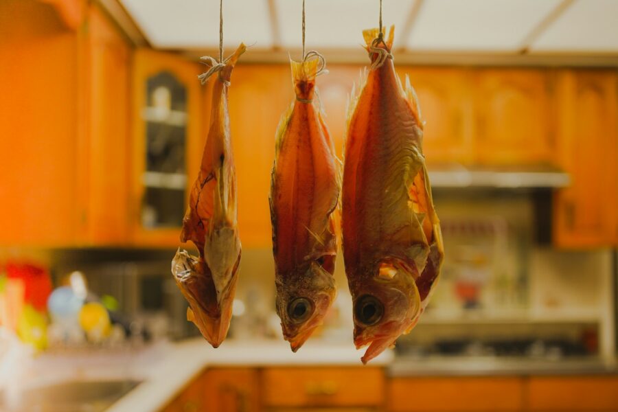 Fresh fish fillets