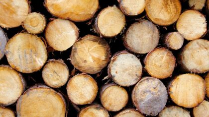 Biovarme i norske småhus: slik vurderer du flis, pellets og ved mot strøm