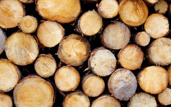 Biovarme i norske småhus: slik vurderer du flis, pellets og ved mot strøm