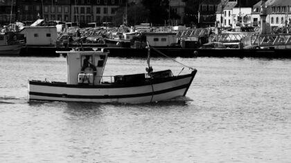 Linefiske langs kysten: slik fungerer en av de mest skånsomme fangstmetodene