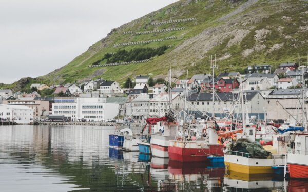 Slik påvirker hvitfisk norske kystsamfunn, arbeidsplasser og valg i butikken