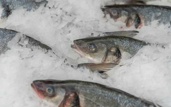 Fersk fisk fra butikk til middag: slik bevarer du smak og kvalitet hele veien hjem