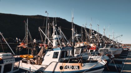 Sjømatnæringen forklart: slik henger fisk, arbeidsplasser og havmiljø sammen