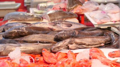 Slik forstår du fiskemerking: en praktisk guide til miljø, fangst og opprinnelse