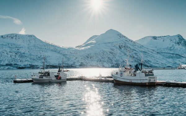 Slik fungerer fiskebåter i dag: fra kystsjark til høyteknologisk tråler