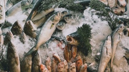Fersk eller fryst fisk: slik velger du smart for smak, helse og lommebok