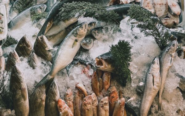 Fersk eller fryst fisk: slik velger du smart for smak, helse og lommebok