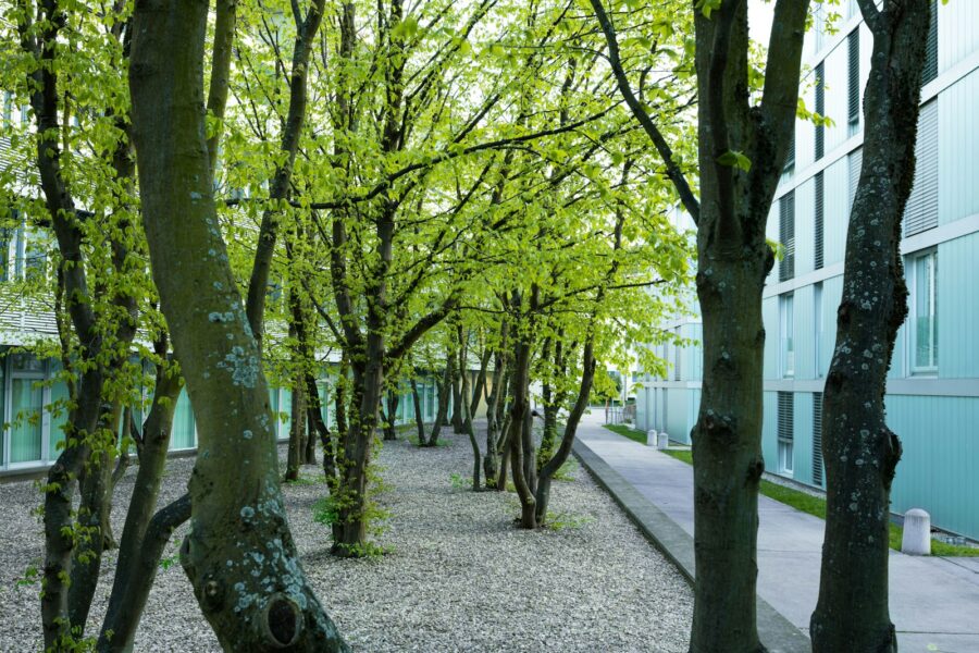 Hovedillustrasjon